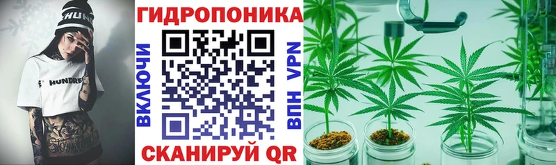 MEGA онион  Куса  Конопля OG Kush 